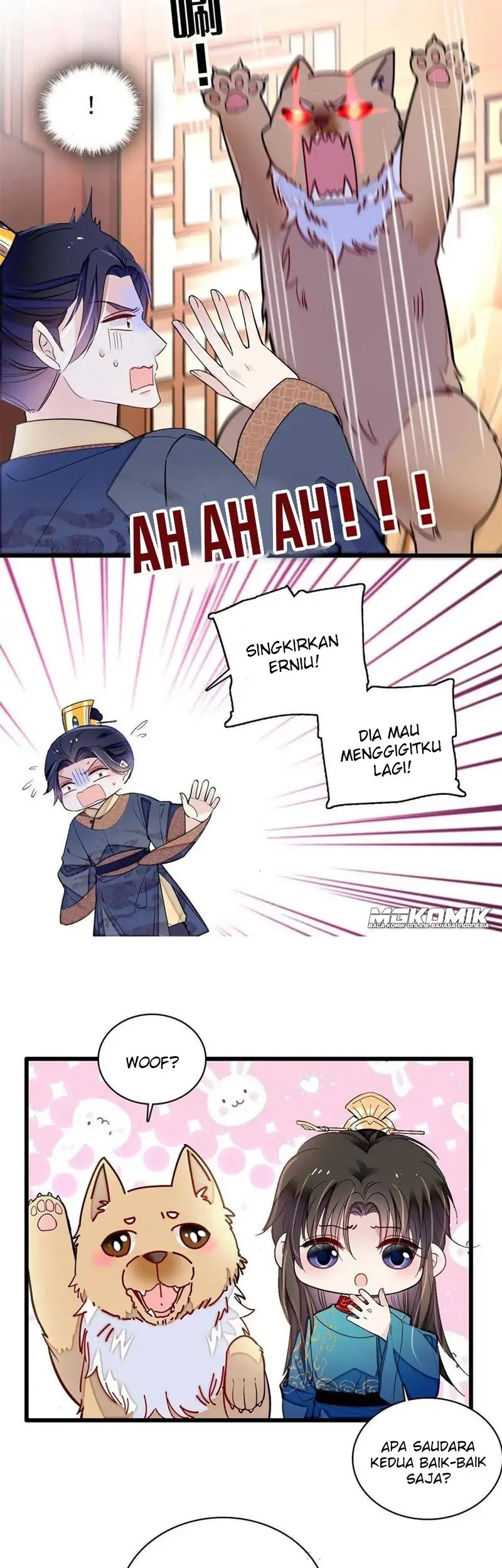 Sijin Chapter 247 Gambar 5