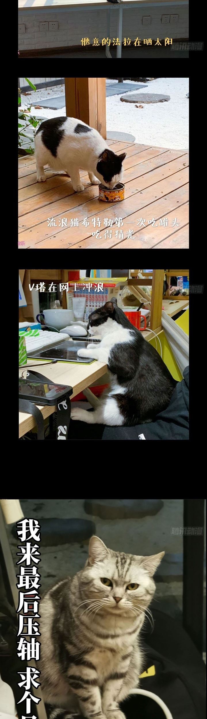 Da Xiang Wuxing Chapter 55 Gambar 30