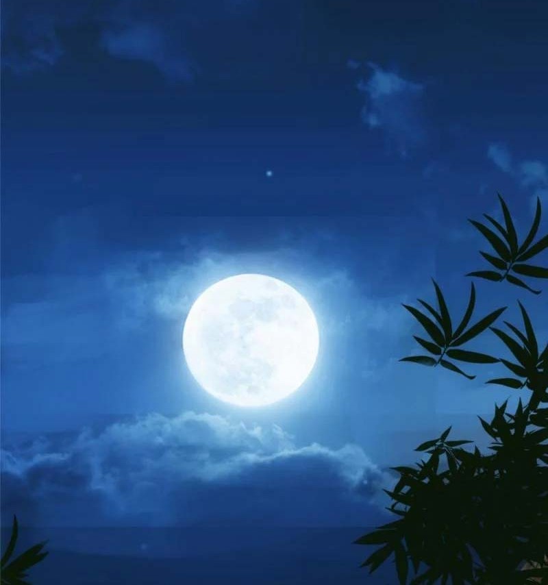 Keep A Low Profile, Sect Leader Chapter 85 Gambar 17