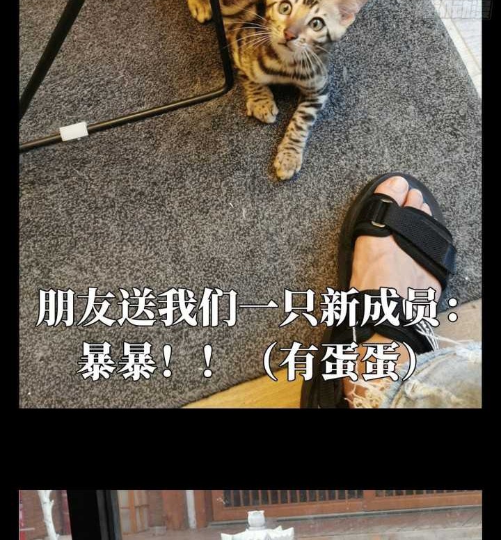 Da Xiang Wuxing Chapter 67 Gambar 27