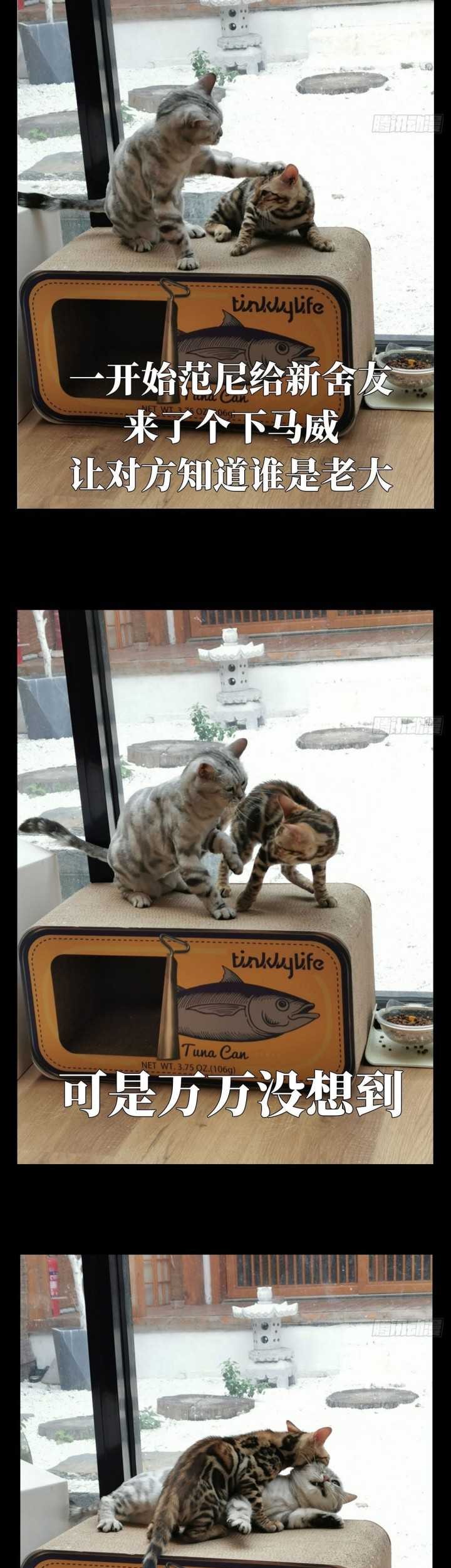 Da Xiang Wuxing Chapter 67 Gambar 28