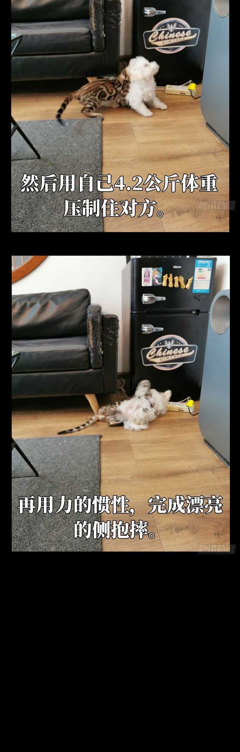 Da Xiang Wuxing Chapter 72 Gambar 27