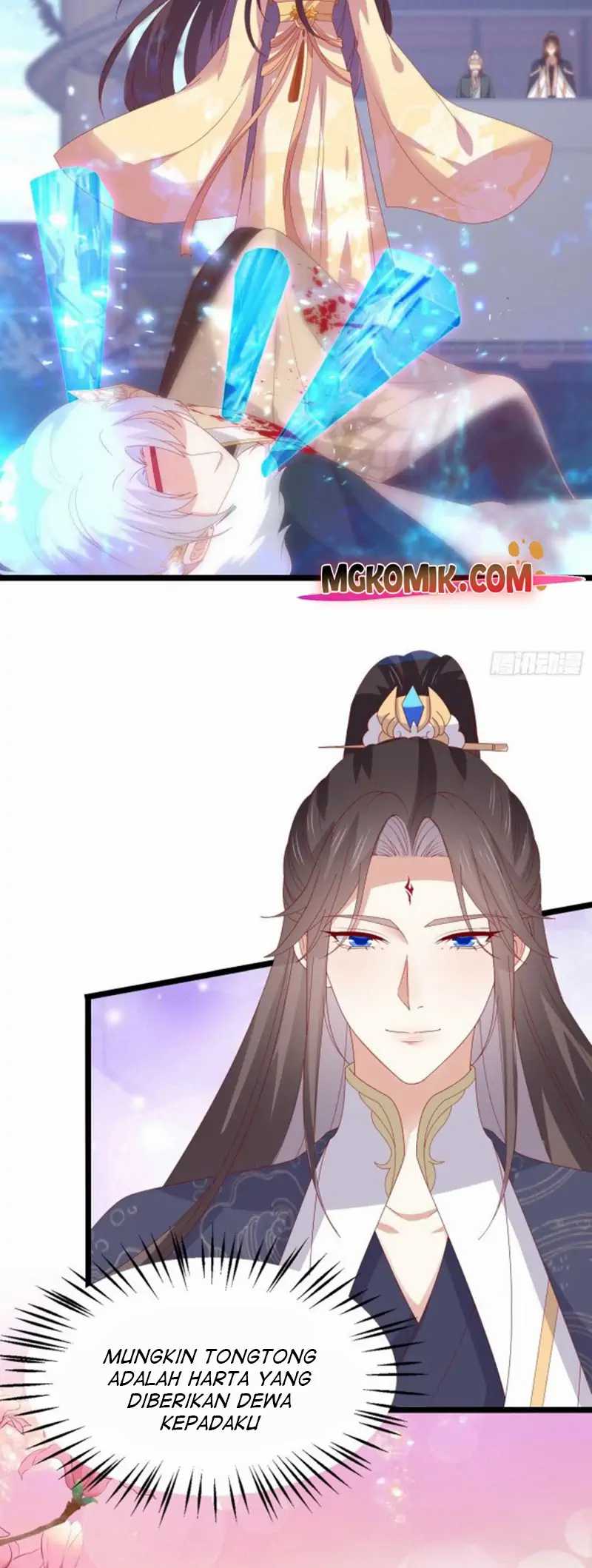 Pupillary Master Chapter 302 Gambar 16