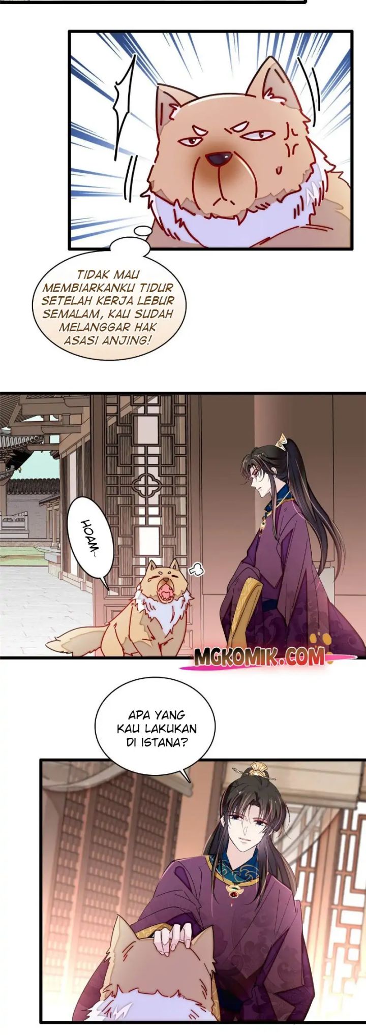 Sijin Chapter 258 Gambar 17