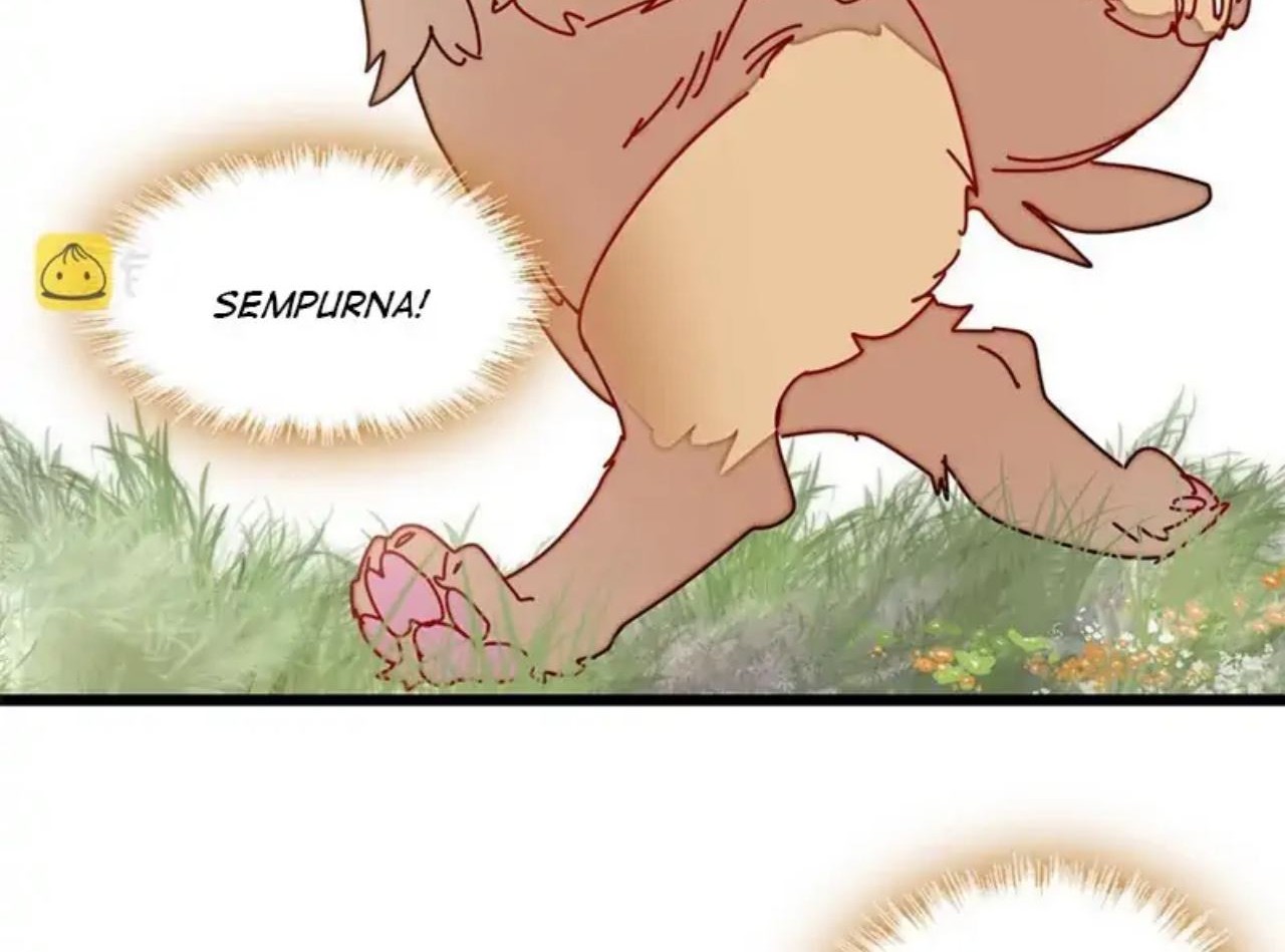 Sijin Chapter 260 Gambar 24