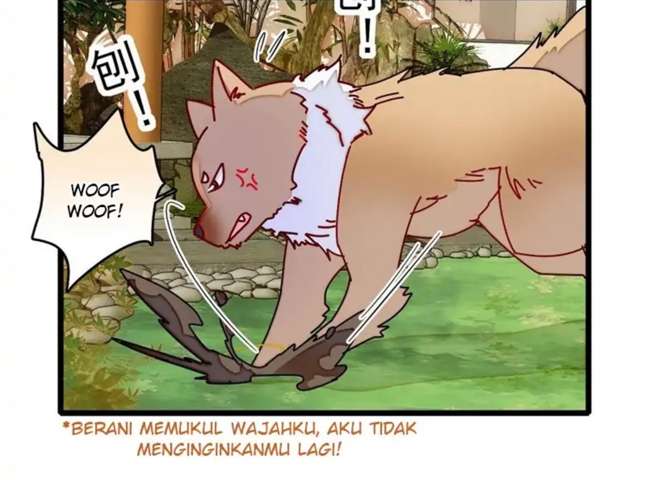 Sijin Chapter 260 Gambar 26