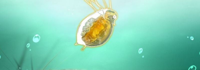 Surviving as a Fish Chapter 05 Gambar 45