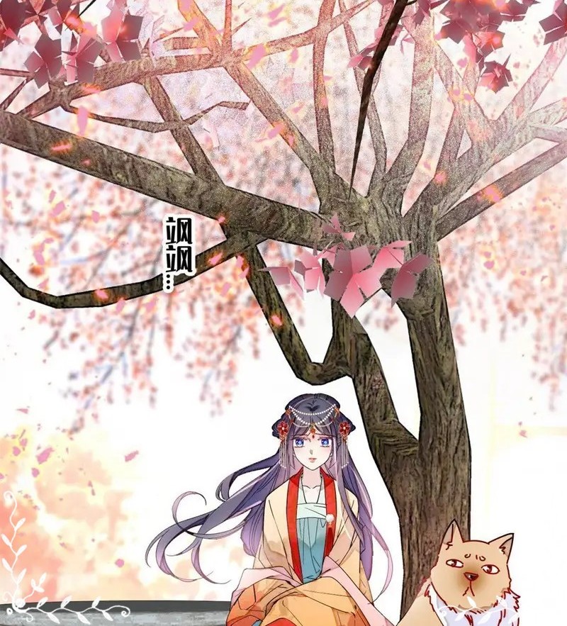 Sijin Chapter 265 Gambar 14