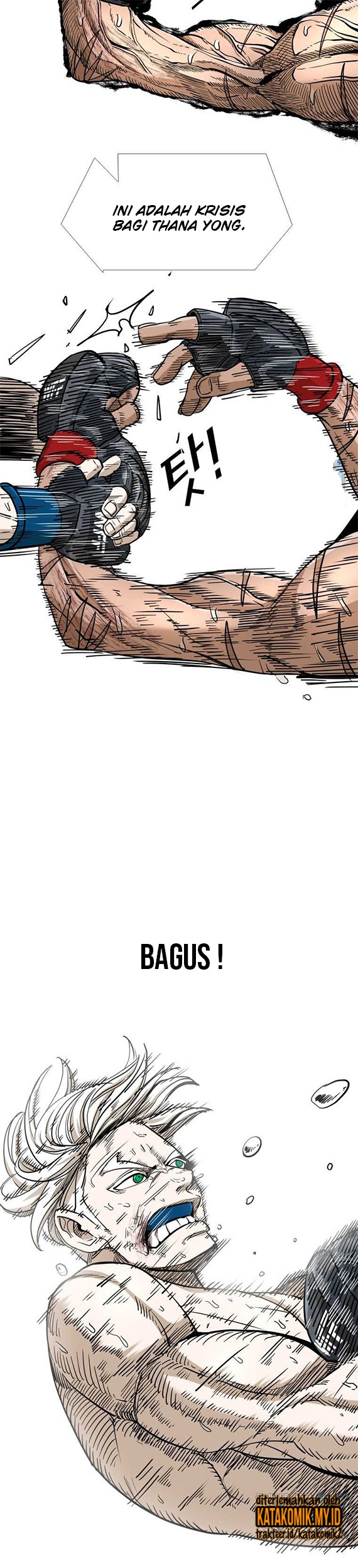 Shark Chapter 249.1 Gambar 8