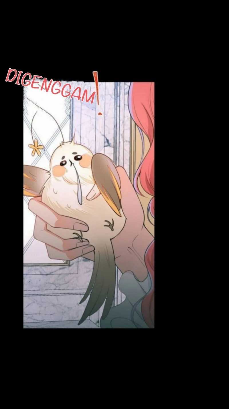 Transmigrating Through Every World to Be Your Black Lotus Chapter 01 Gambar 44