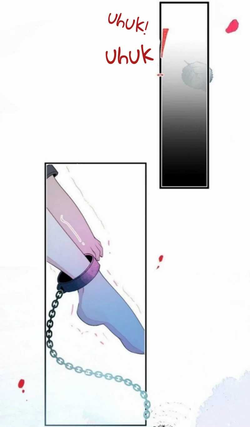 Transmigrating Through Every World to Be Your Black Lotus Chapter 01 Gambar 5