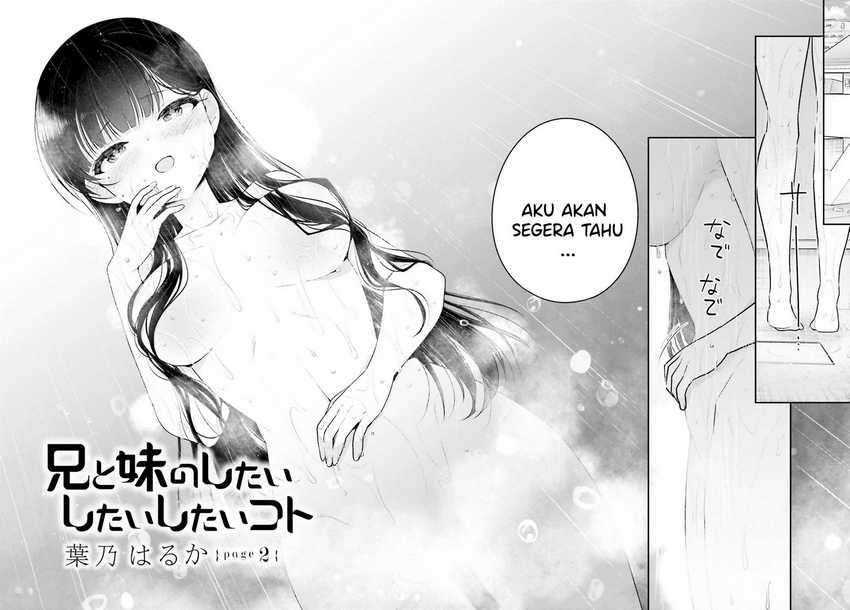 Ani to Imouto no Shitai Shitai Shitai Koto Chapter 02 Gambar 3