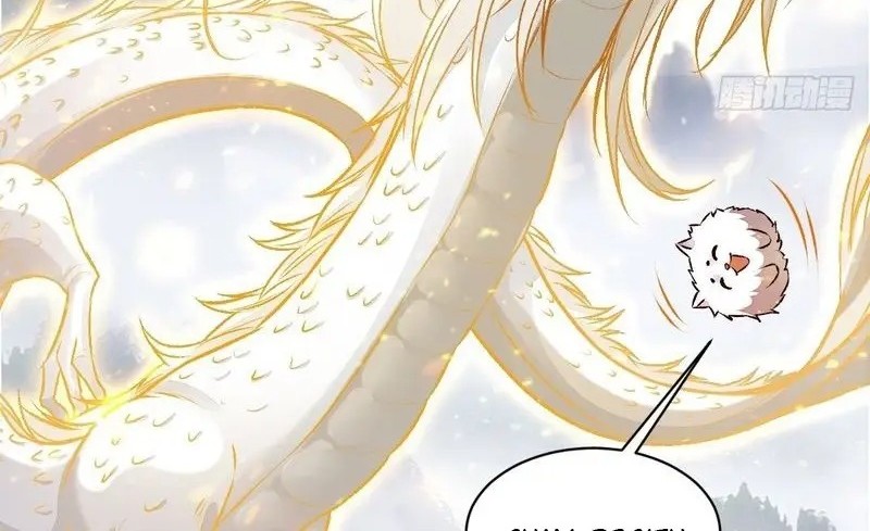 The Ghostly Doctor Chapter 504 Gambar 24