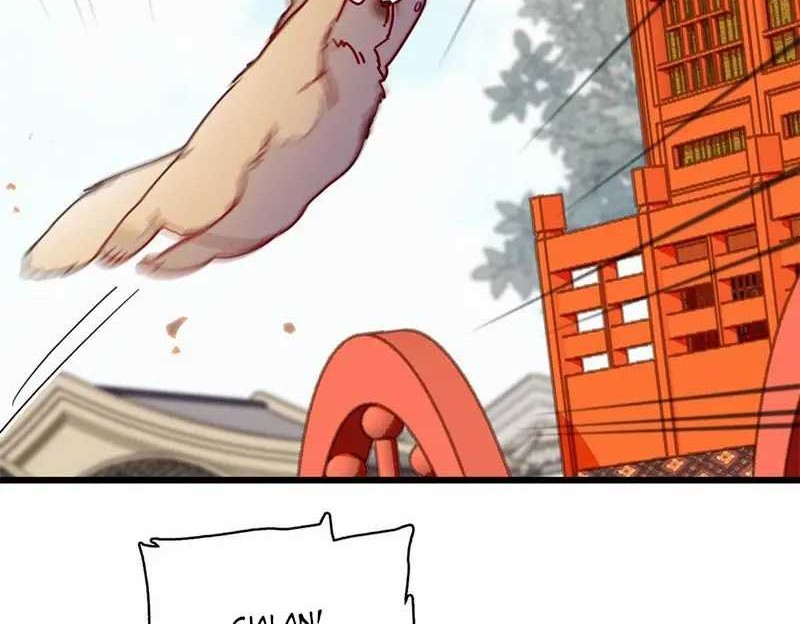 Sijin Chapter 279 Gambar 14