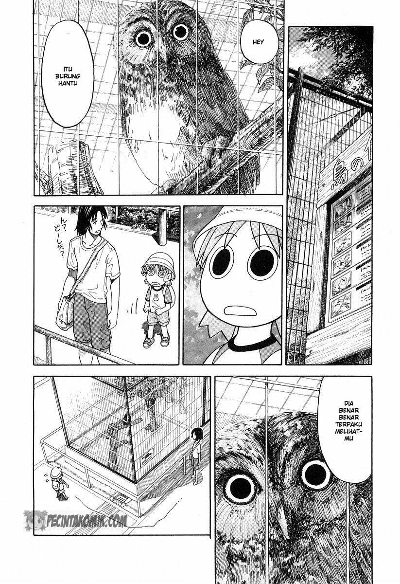 Yotsuba to! Chapter 19 Gambar 17