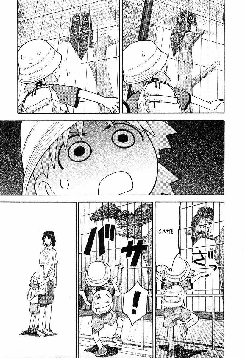 Yotsuba to! Chapter 19 Gambar 18