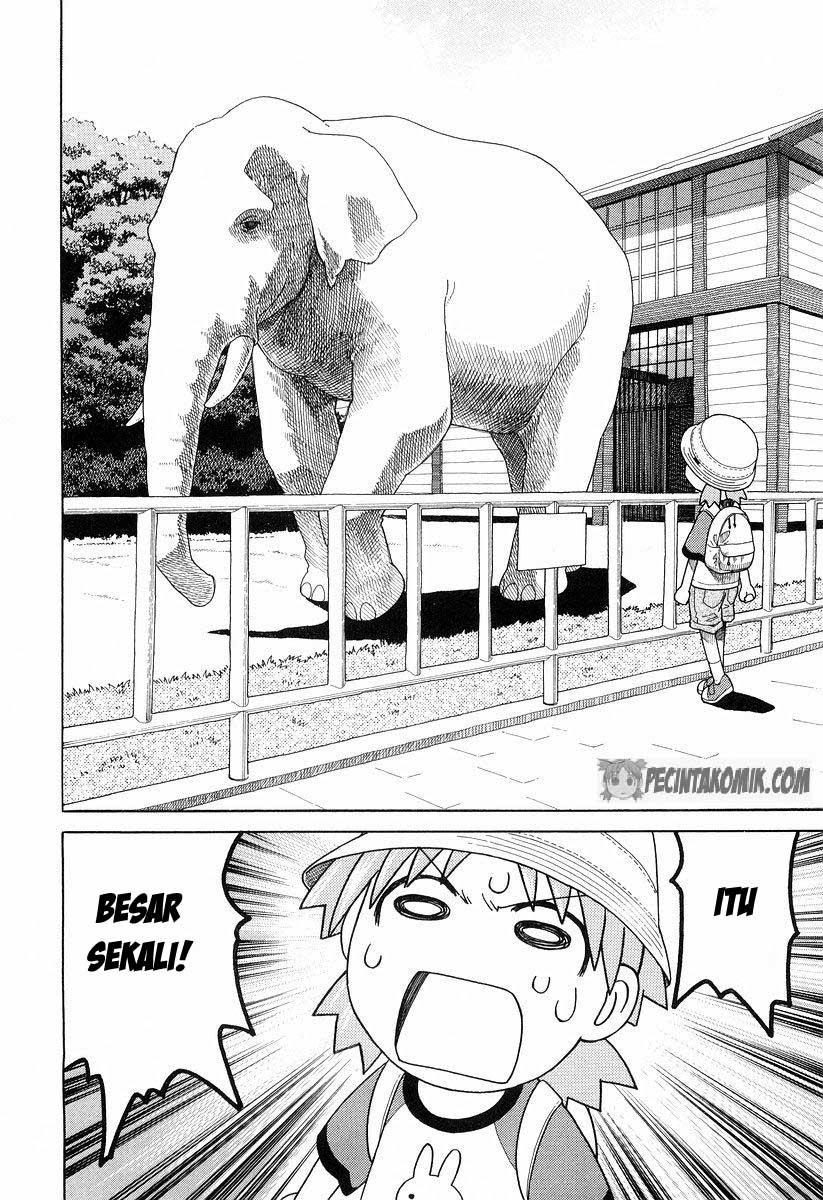 Yotsuba to! Chapter 19 Gambar 21