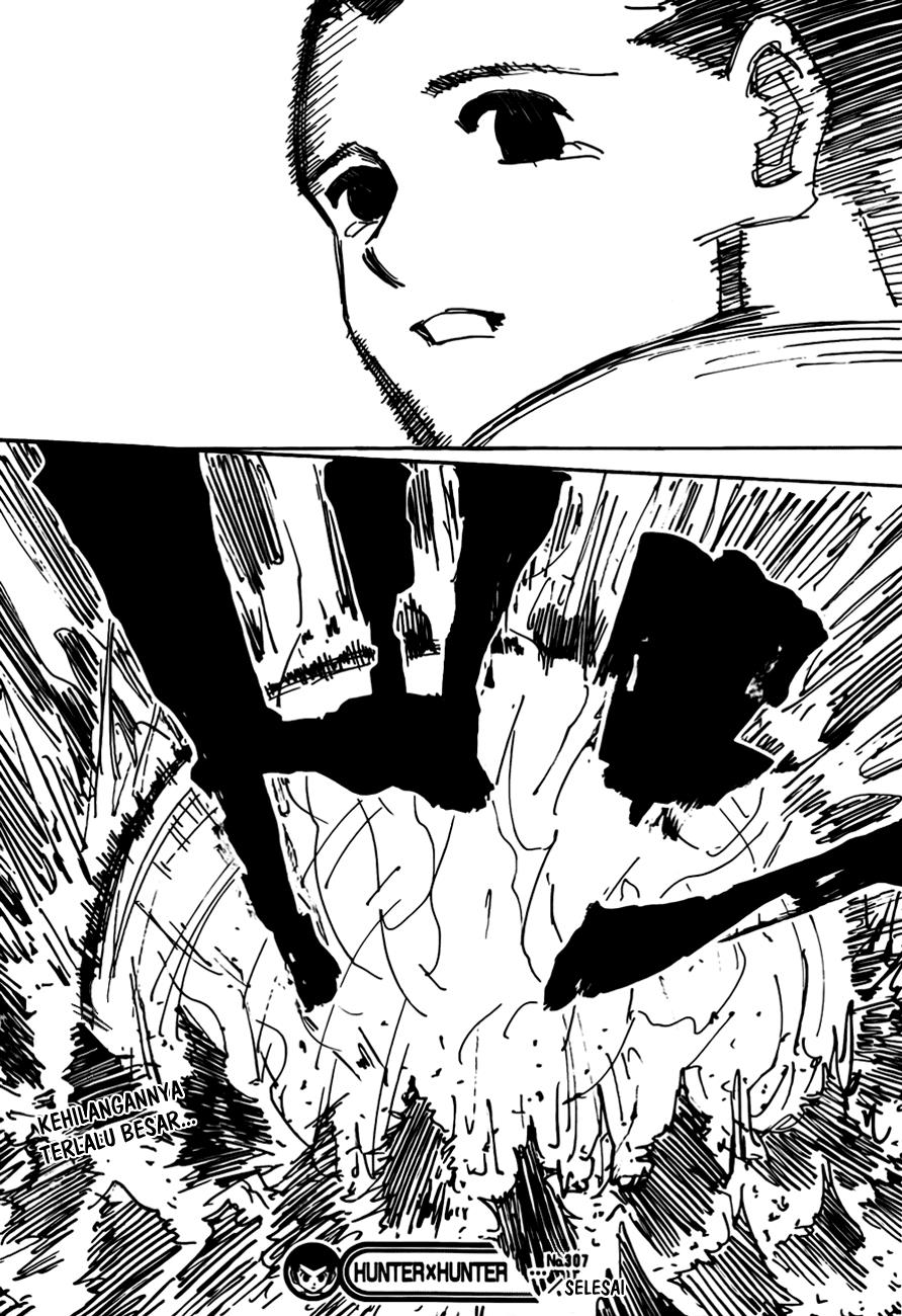 Hunter x Hunter Chapter 307 Gambar 18