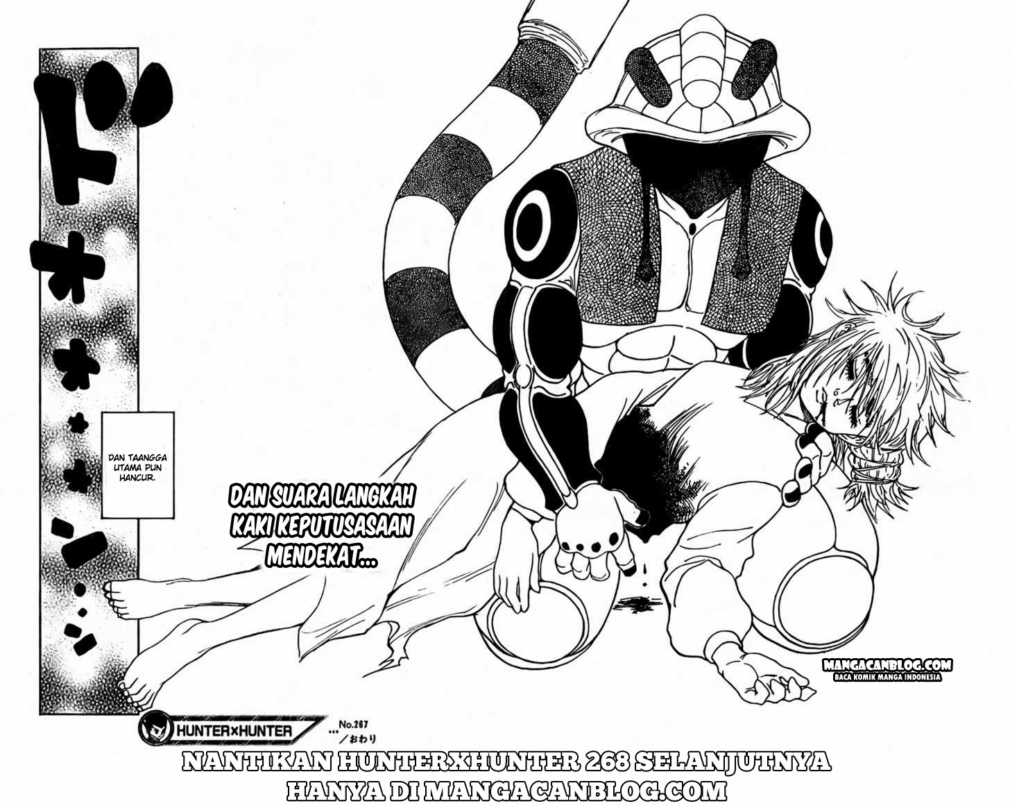 Hunter x Hunter Chapter 267 Gambar 17