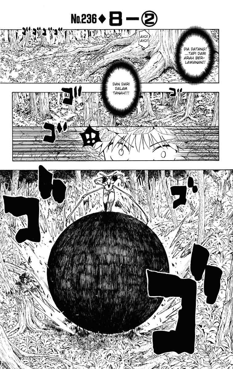 Komik Hunter x Hunter Chapter 236 gambar nomor 1
