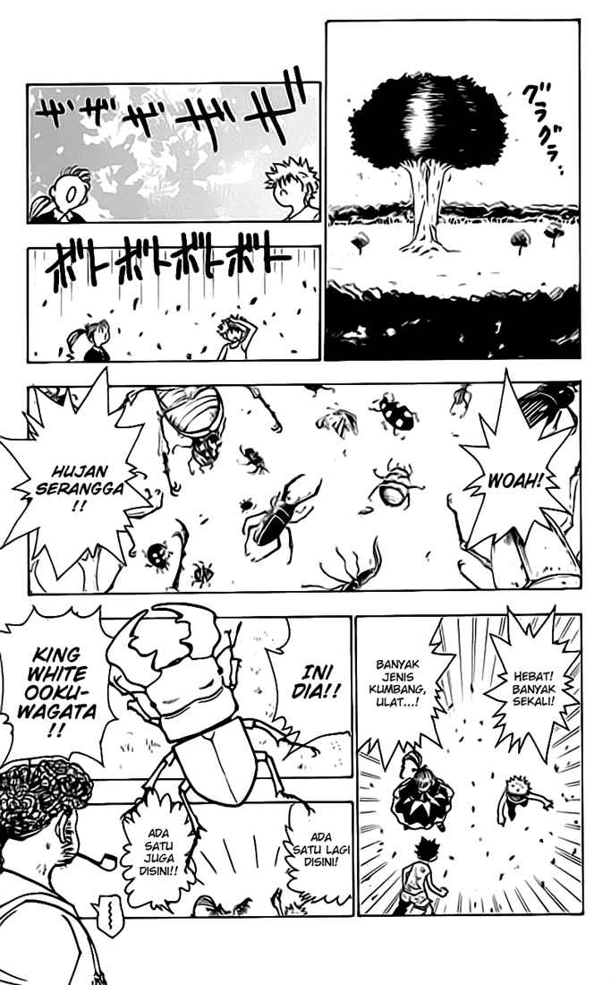 Hunter x Hunter Chapter 150 Gambar 10