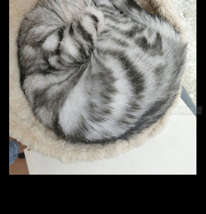 Da Xiang Wuxing Chapter 78 Gambar 24