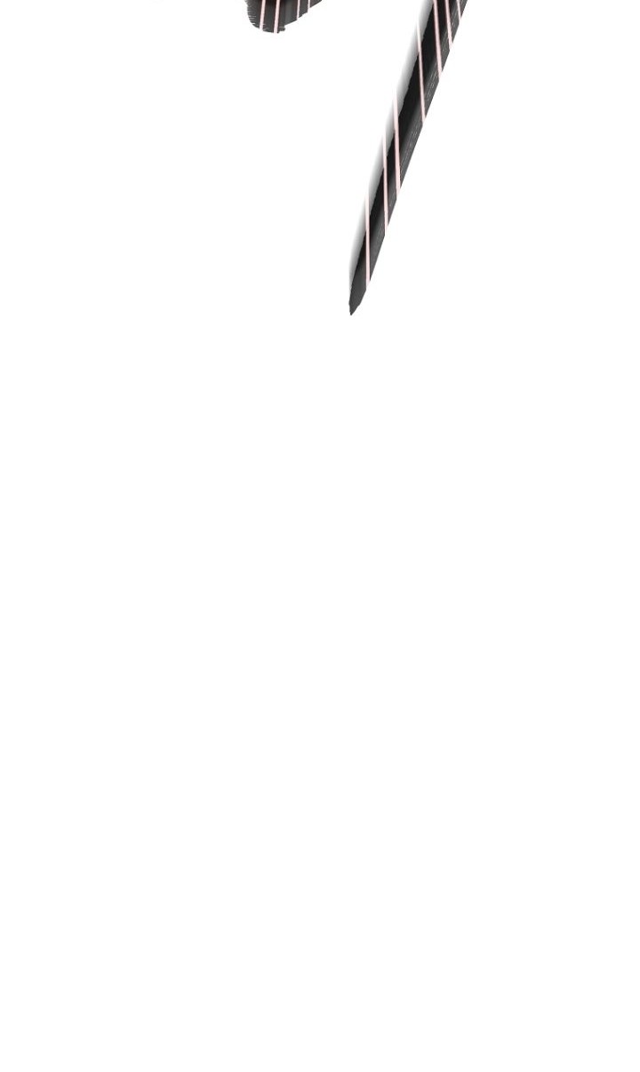 Reincarnation of the Murim Clan’s Former Ranker Chapter 69 Gambar 49