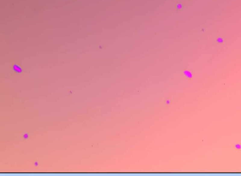 I’m Actually A Cultivation Bigshot Chapter 164 Gambar 30