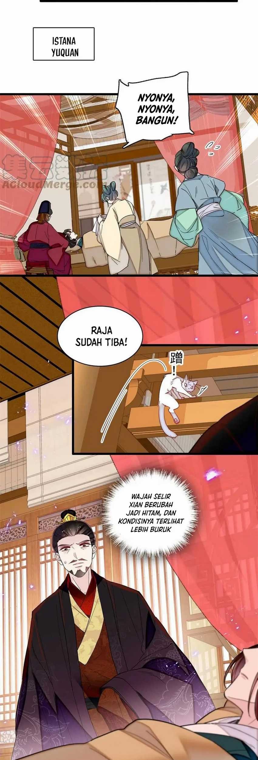 Sijin Chapter 309 Gambar 5