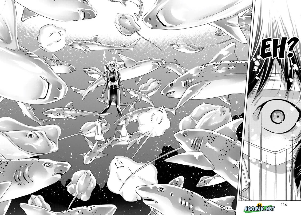 Grand Blue Chapter 81 Gambar 25