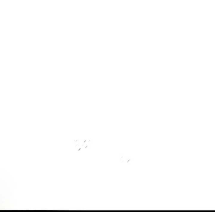 Ha Buk Paeng’s Youngest Son Chapter 56 Gambar 51