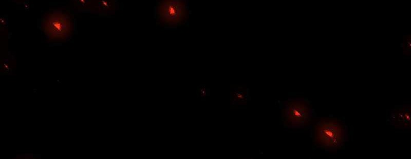 Player Who Returned 10,000 Years Later Chapter 42 Gambar 9