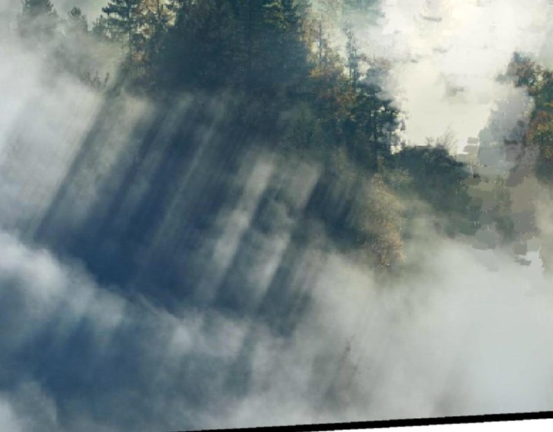 Evolution Begins With A Big Tree Chapter 19 Gambar 3