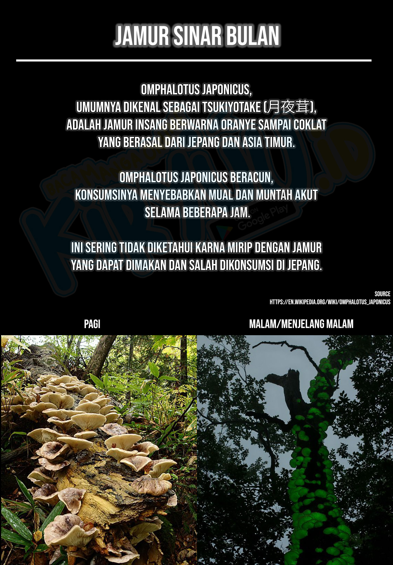 Kusuriya no Hitorigoto Chapter 59.2 Gambar 30