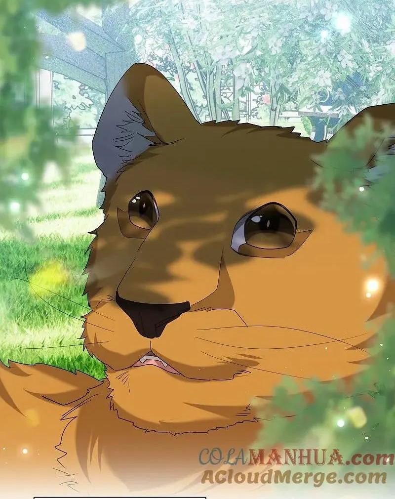 She Is Coming, Please Get Down! Chapter 329.3 Gambar 8