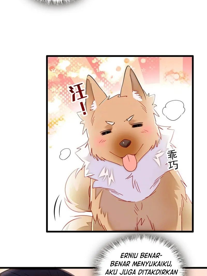 Sijin Chapter 329 Gambar 16