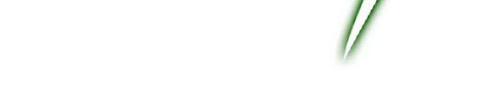 To Hell With Being a Saint, I’m a Doctor Chapter 44 Gambar 49