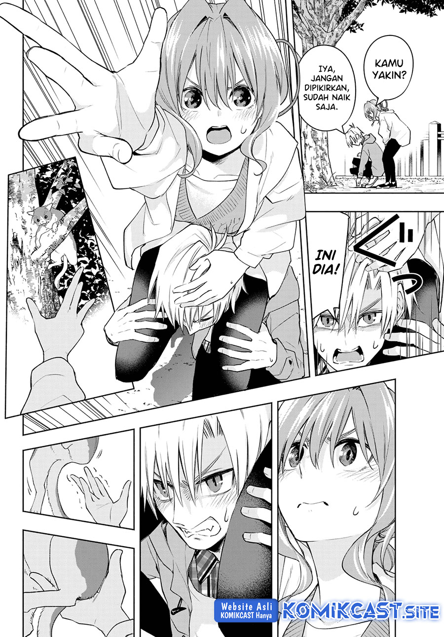 Amagami-san Chi no Enmusubi Chapter 87 Gambar 11