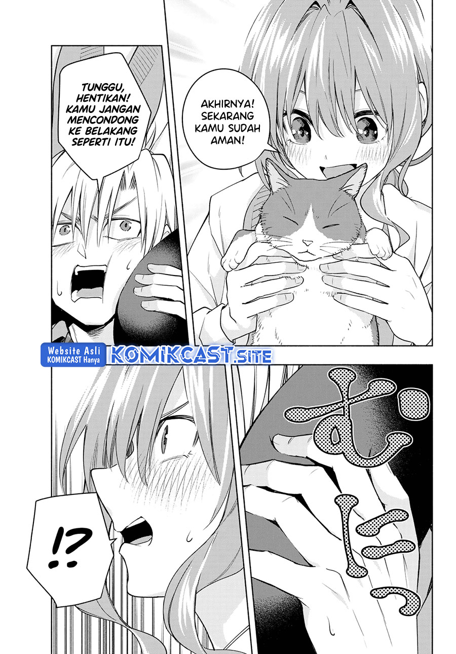 Amagami-san Chi no Enmusubi Chapter 87 Gambar 12