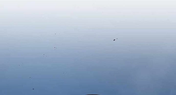 Demon Lord’s Martial Arts Ascension Chapter 42 Gambar 11