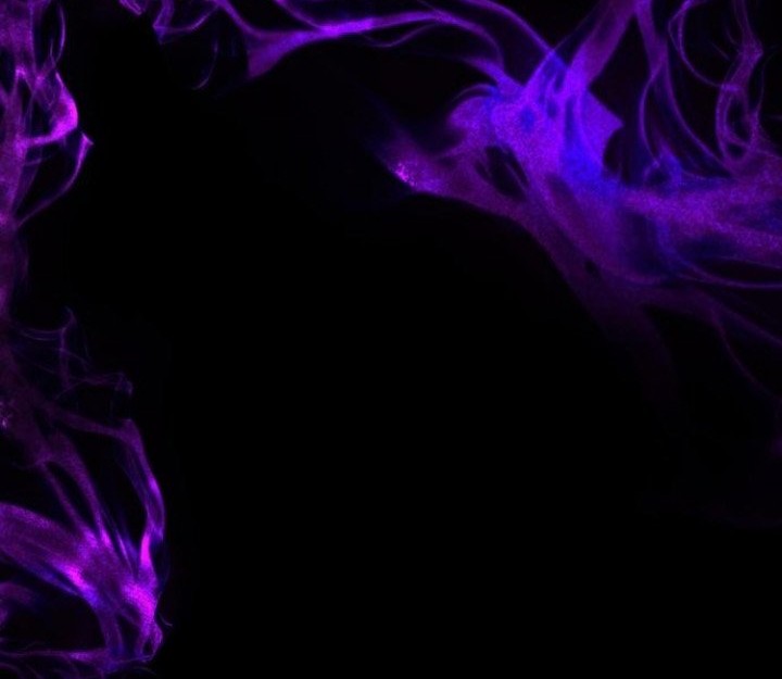 Ha Buk Paeng’s Youngest Son Chapter 88 Gambar 17