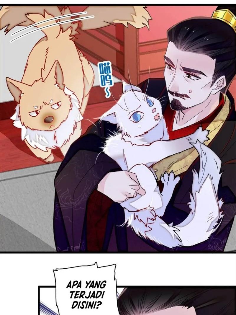 Sijin Chapter 335 Gambar 4