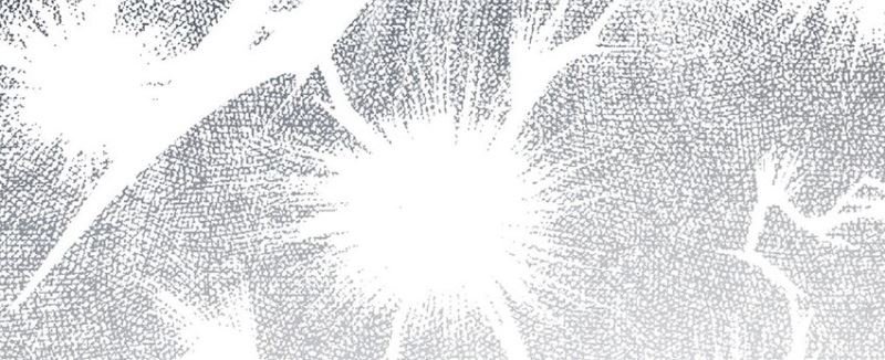 All Hail the Sect Leader Chapter 248 Gambar 50