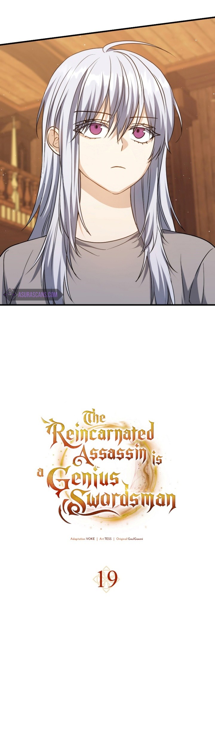 The Reincarnated Assassin is a Genius Swordsman Chapter 19 Gambar 24