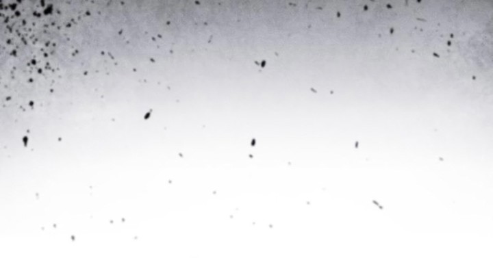 Academy’s Genius Swordmaster Chapter 07 Gambar 67