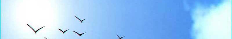 My Disciples Are All Big Villains Chapter 111 Gambar 13