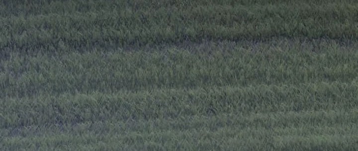 Killing Killer Chapter 58 Gambar 35