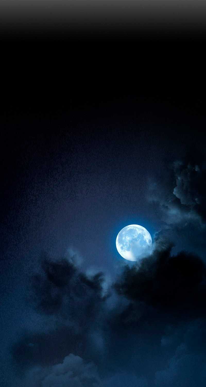 The World’s Best Sect of Dependency Chapter 10 Gambar 40