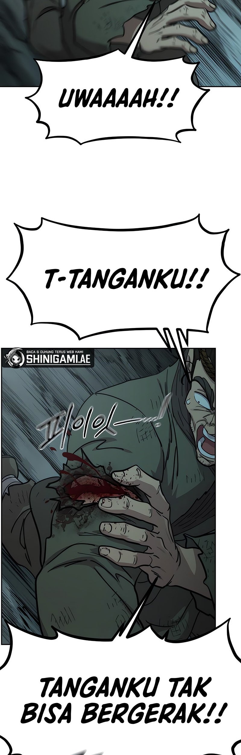 Return of the Flowery Mountain Sect Chapter 95 Gambar 68