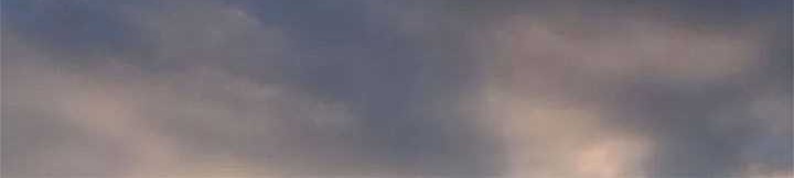 The World’s Best Sect of Dependency Chapter 18 Gambar 11